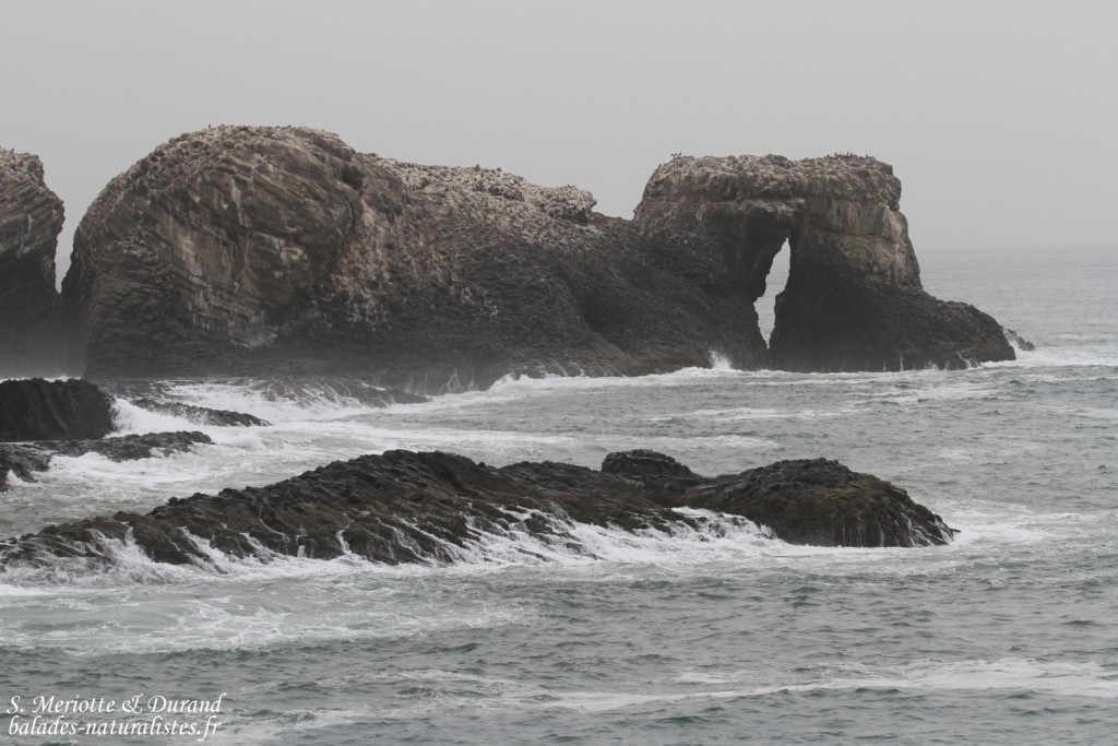 Ile de la Madeleine