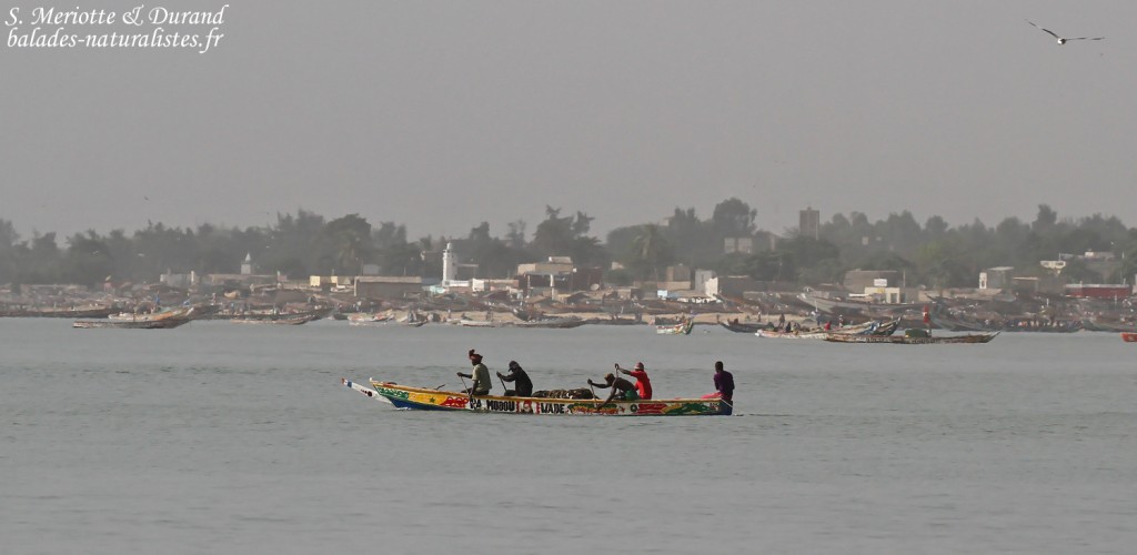 Pêcheurs à Mbour
