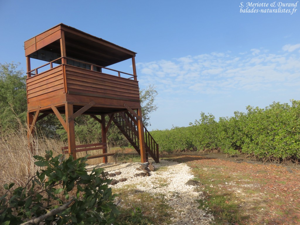 Observatoire, La Somone, Sénégal