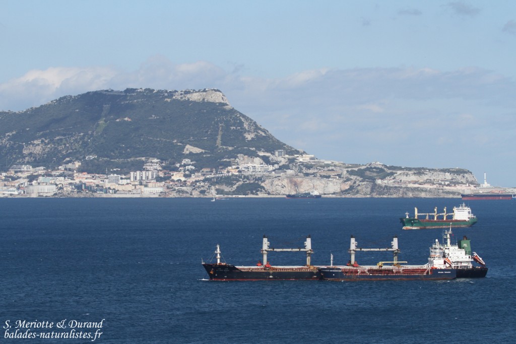 Détroit de Gibraltar
