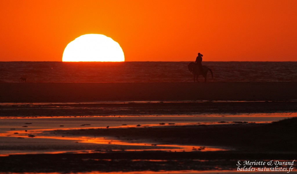 Tarifa