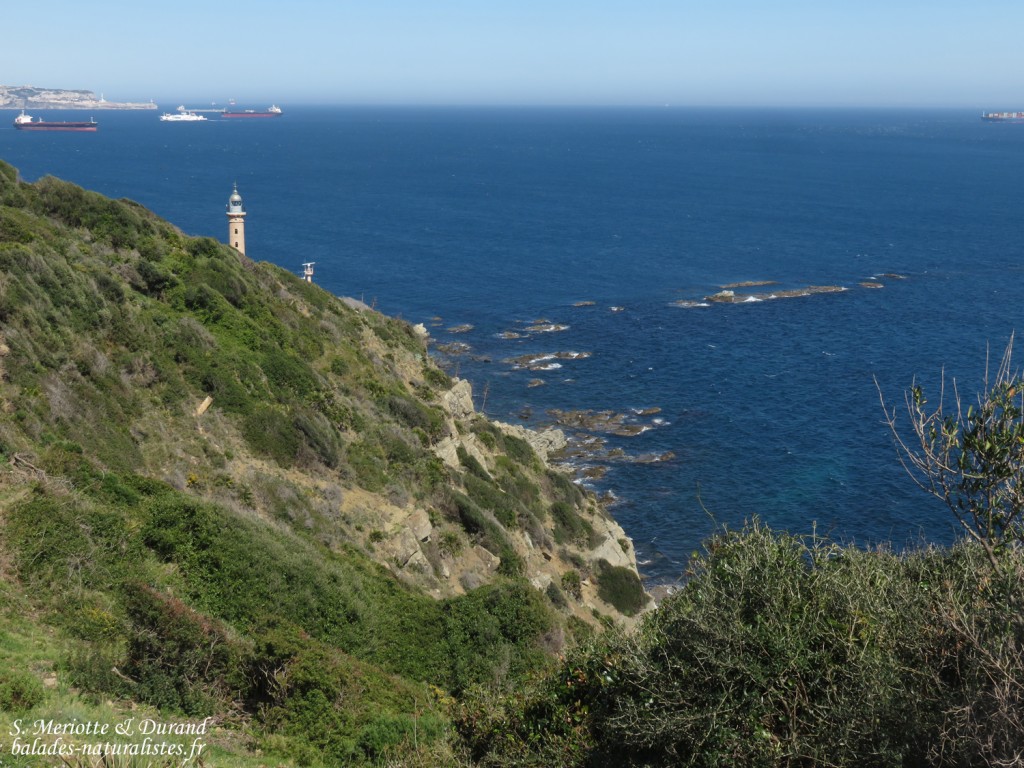 Phare de Carnero