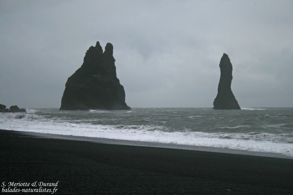Vik, Islande 2011