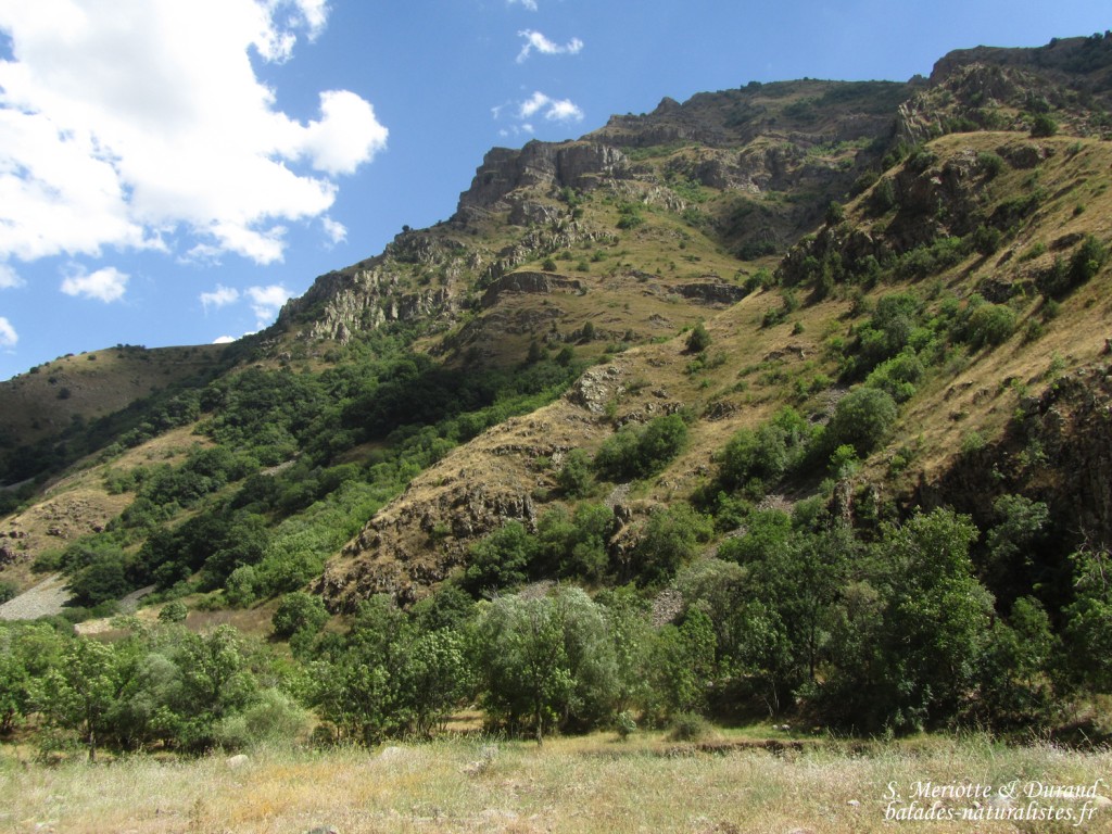 Les monts Vardénis