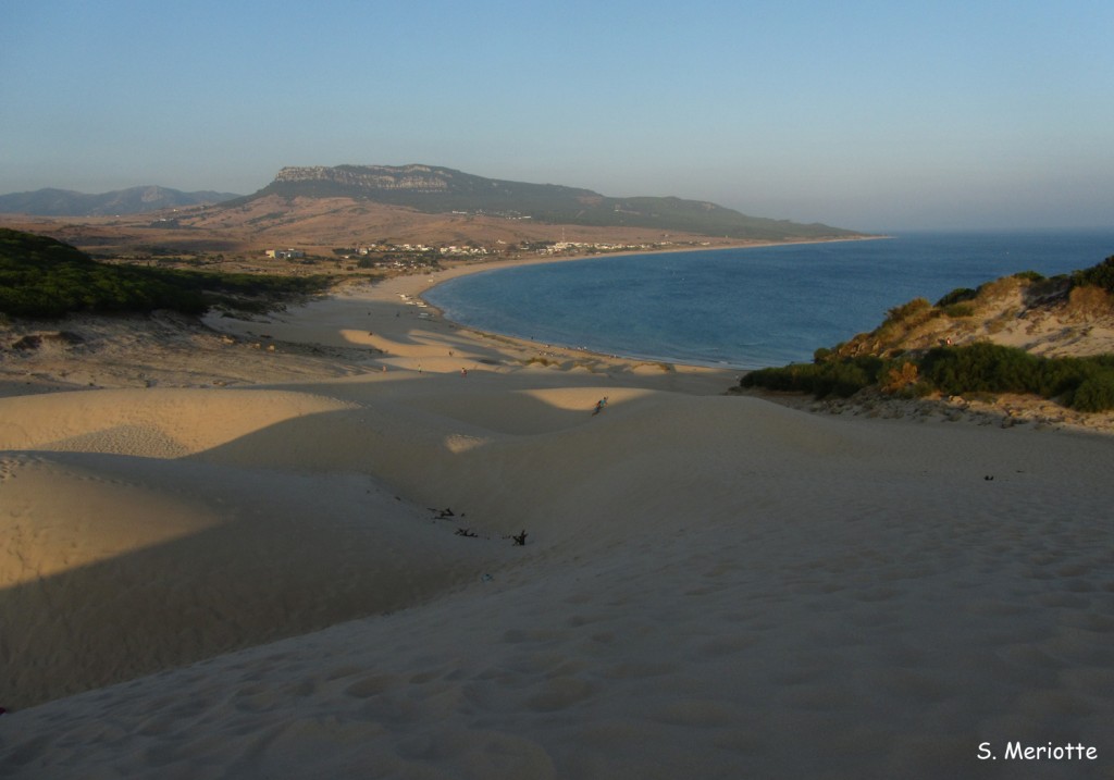 Dune de Bolonia