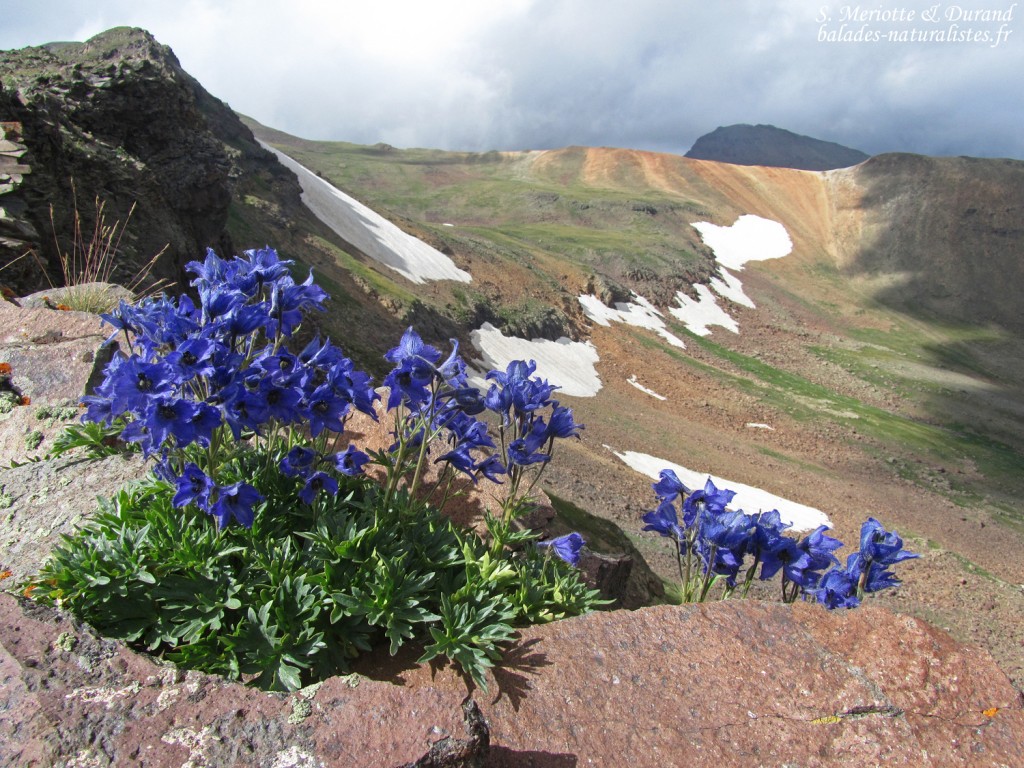 Le sommet du mont Aragats