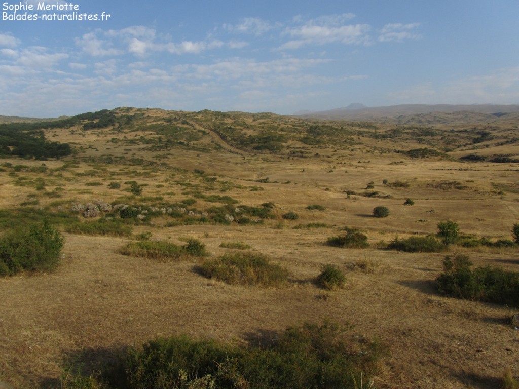 Paysages sur les pentes de l'Aragats