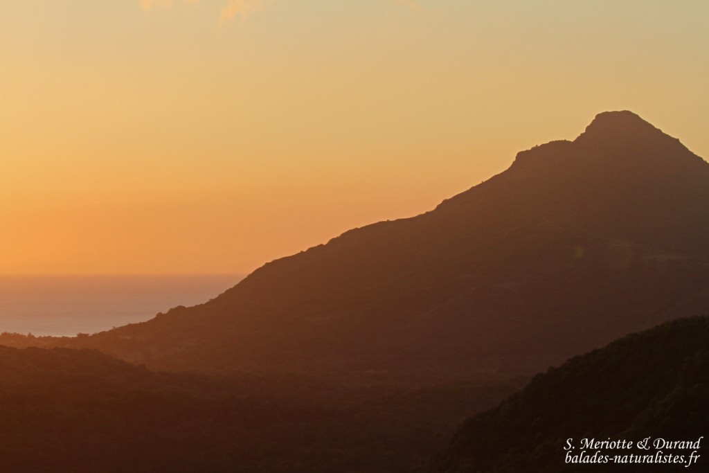 Coucher de soleil sur les gorges de Rivière noire