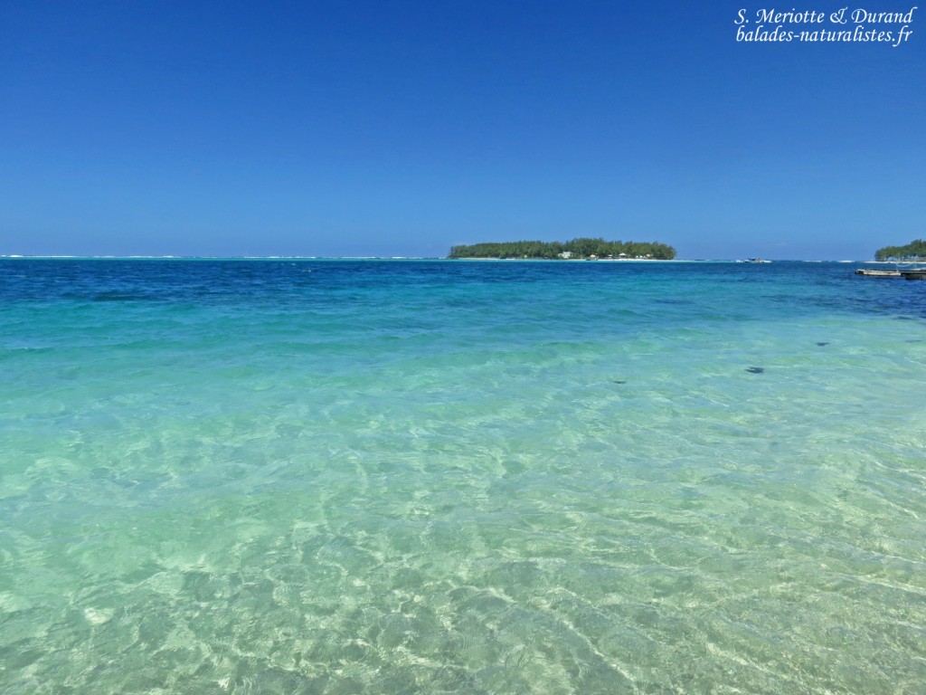Plage de blue bay