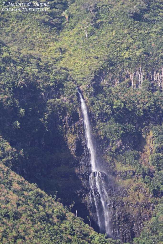 Panorama depuis la Macchabée trail