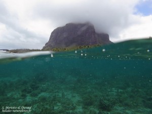 Le Morne