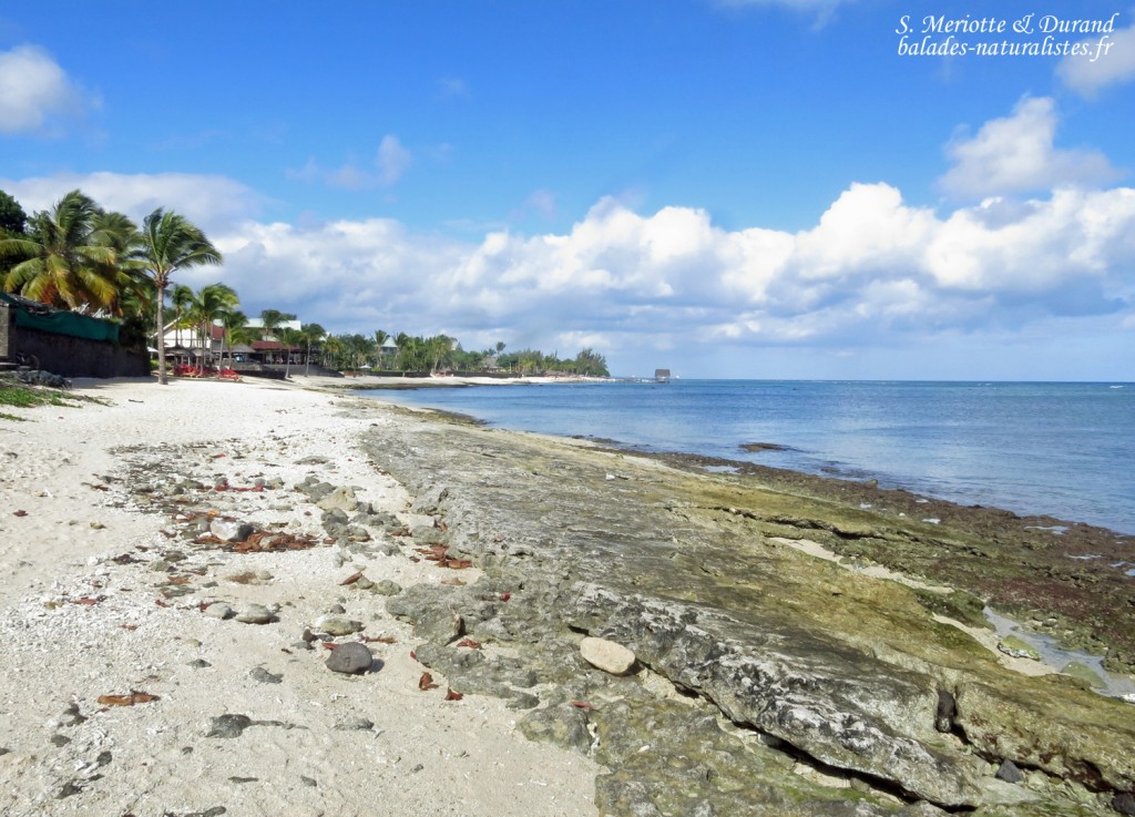 Pointe aux piments