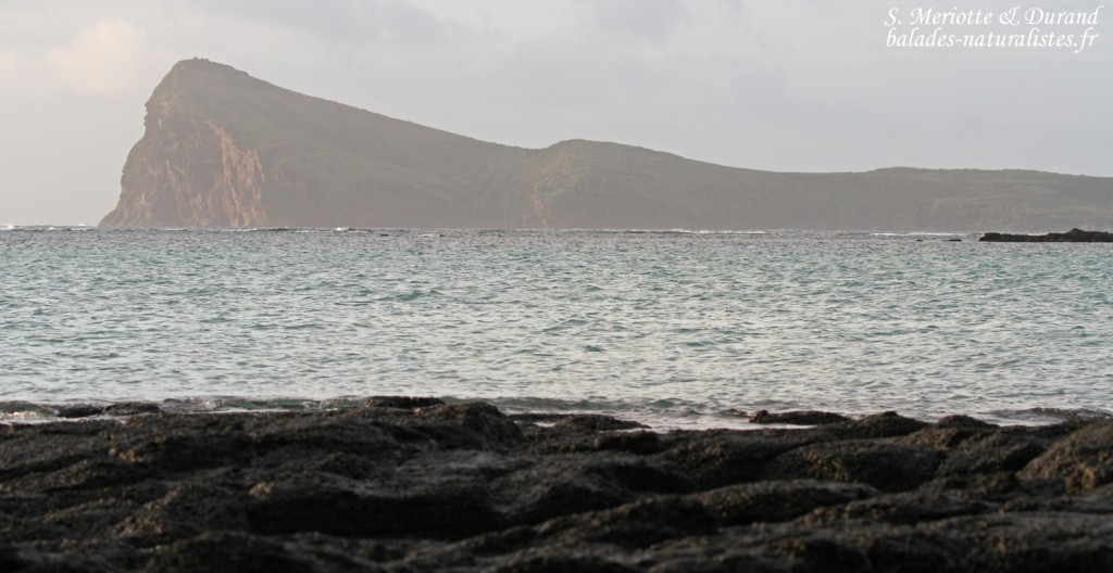 Coin de Mire depuis le Cap Malheureux