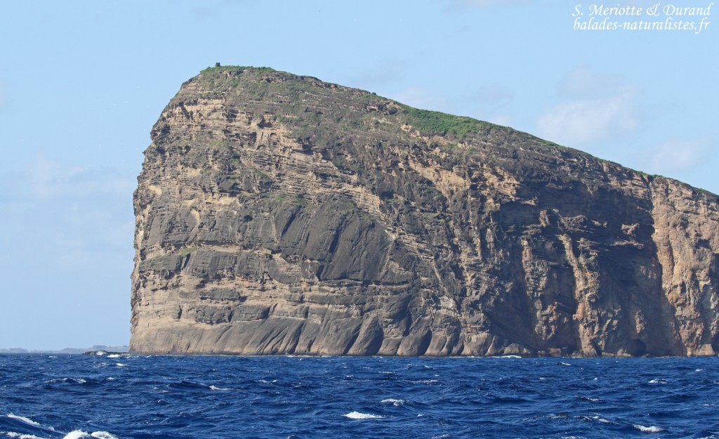 Coin de Mire