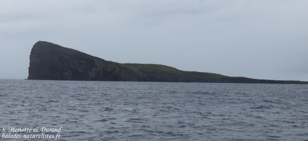 Coin de Mire