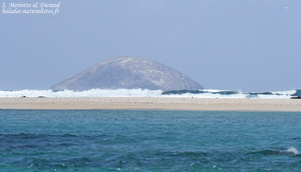 Ile ronde