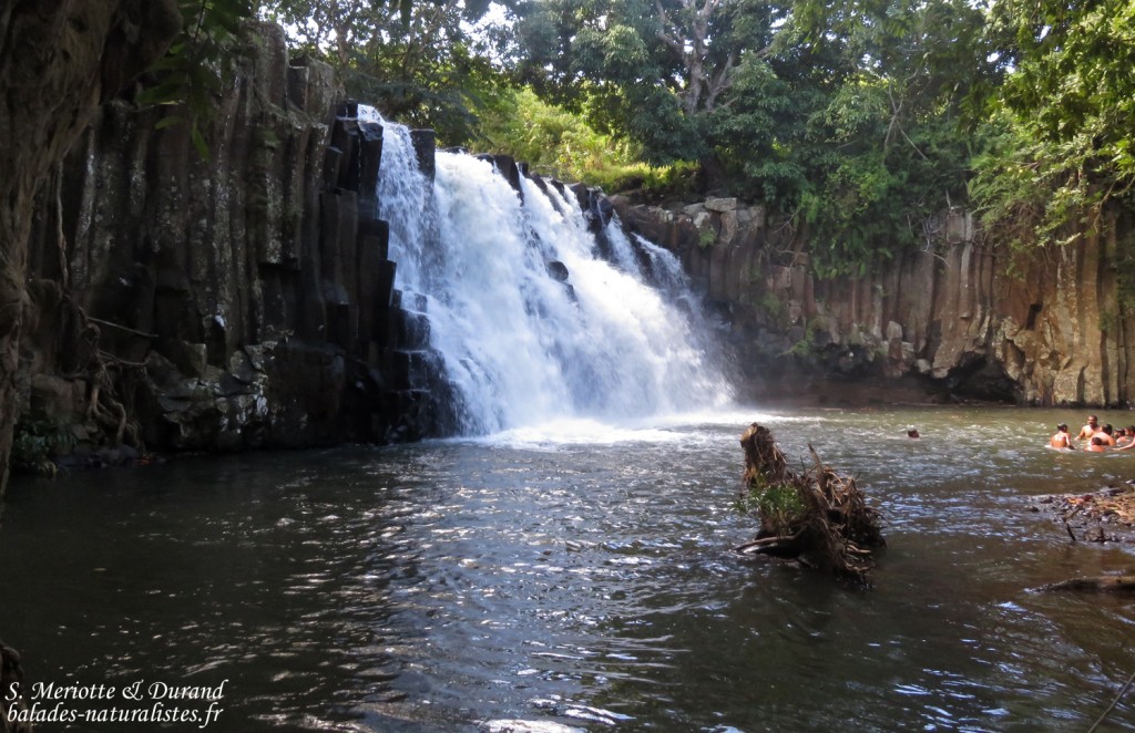 Orgues basaltiques de rocherster falls