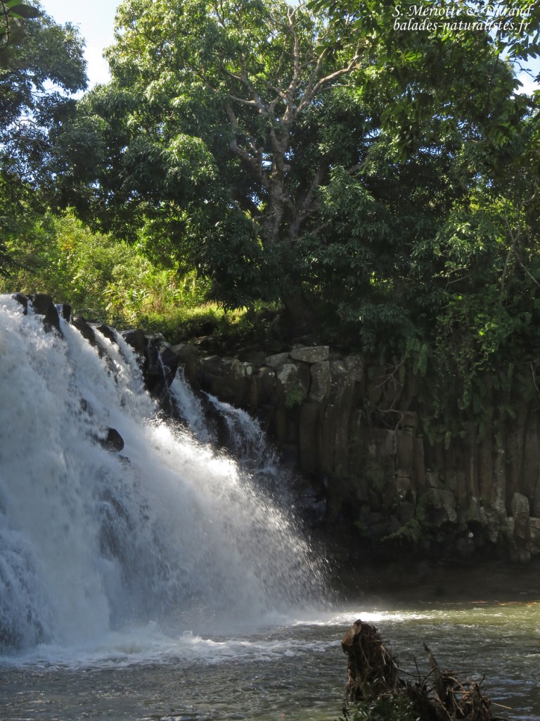 Orgues basaltiques de rocherster falls
