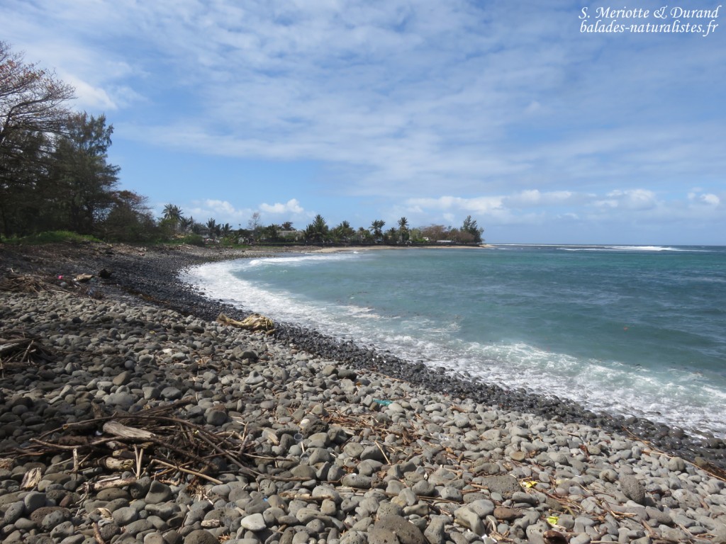 Plage sur la côte