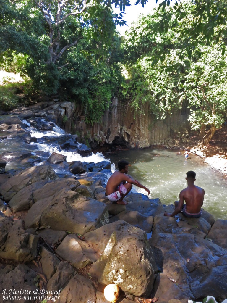 Orgues basaltiques de rocherster falls