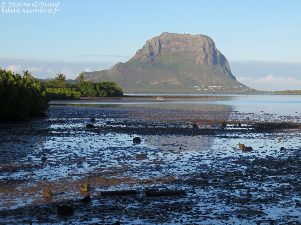 Le Morne