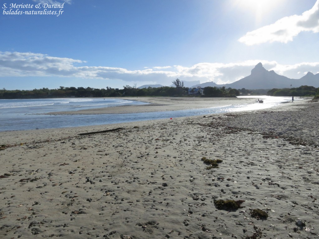 Plage de Tamarin