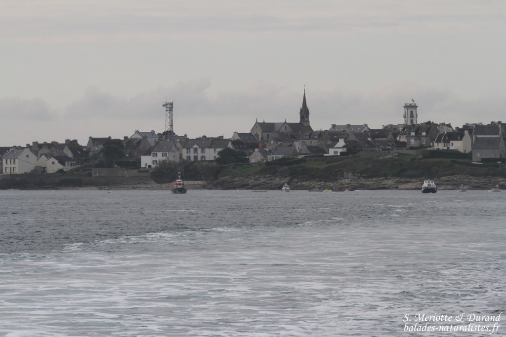 conquet