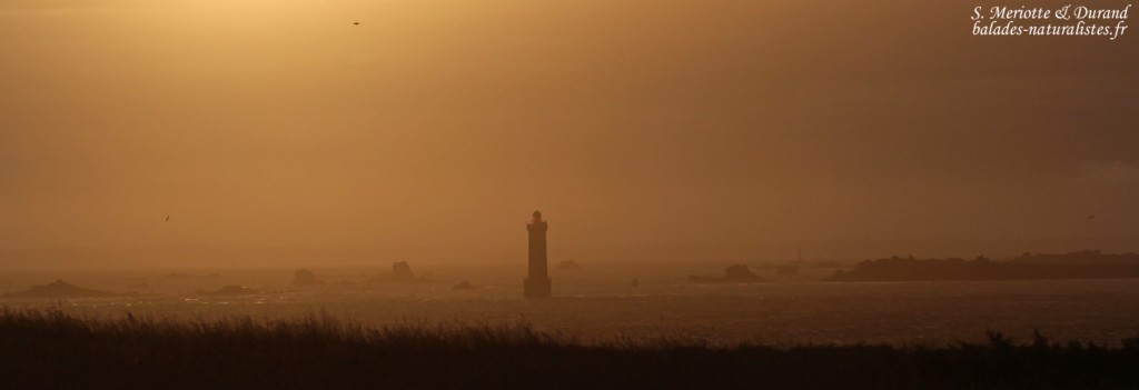 Lever de soleil sur la mer d'Iroise