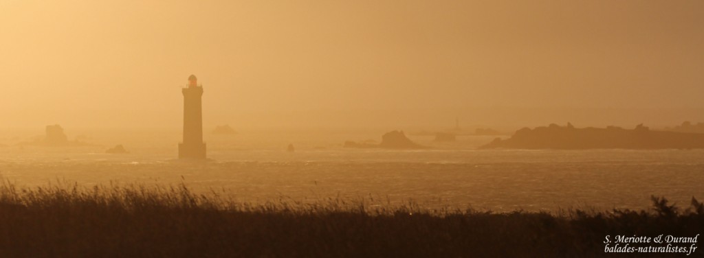 Lever de soleil sur la mer d'Iroise