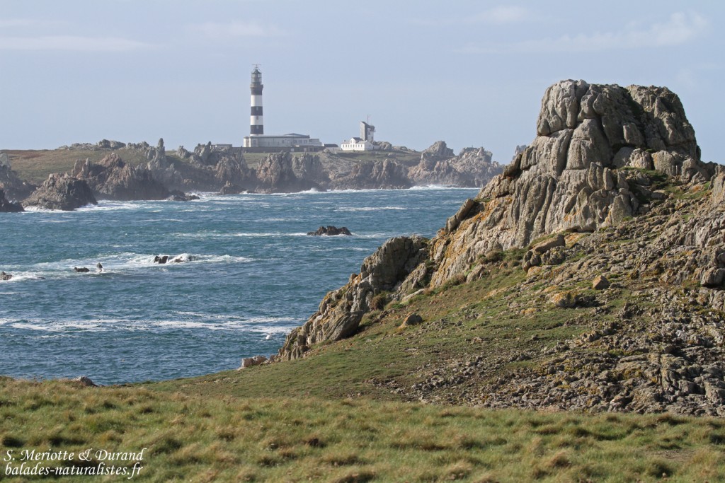 Le phare du Creac'h depuis Yusin