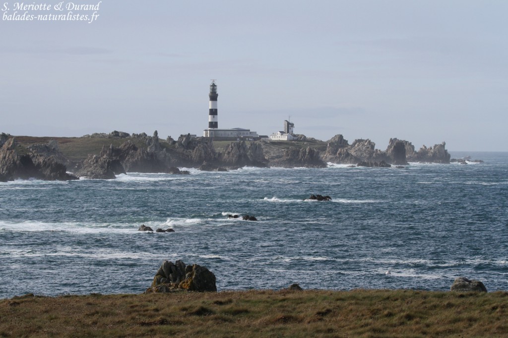 Le phare du Creac'h depuis Yusin