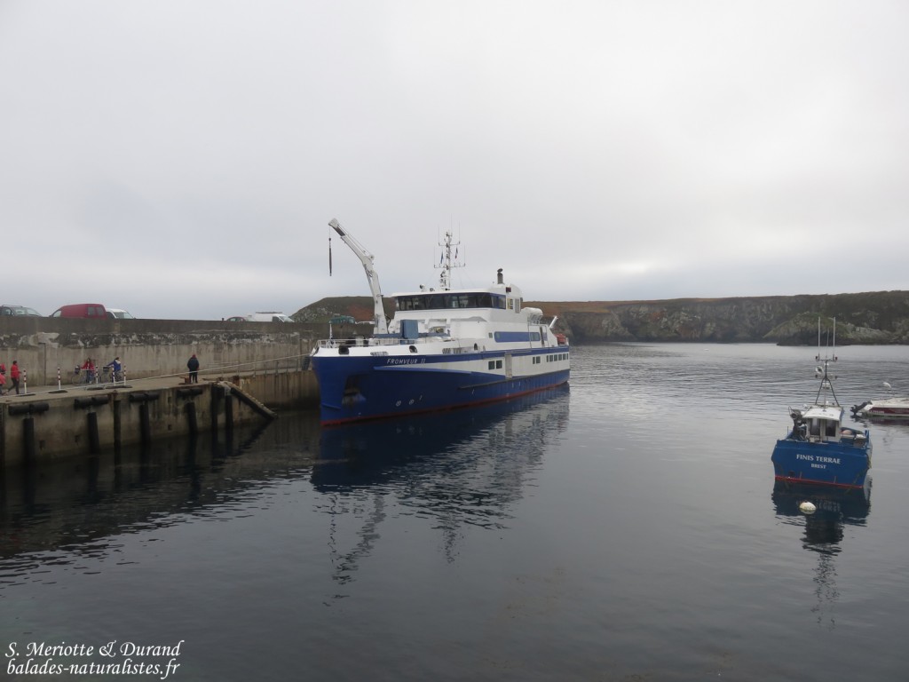 Le bateau du retour