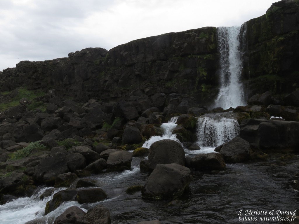 Cercle d'or : Pingvellir