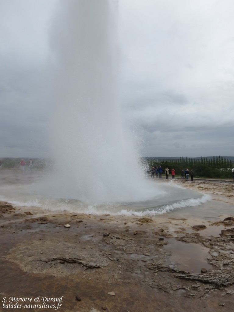 Cercle d'or, Geysir