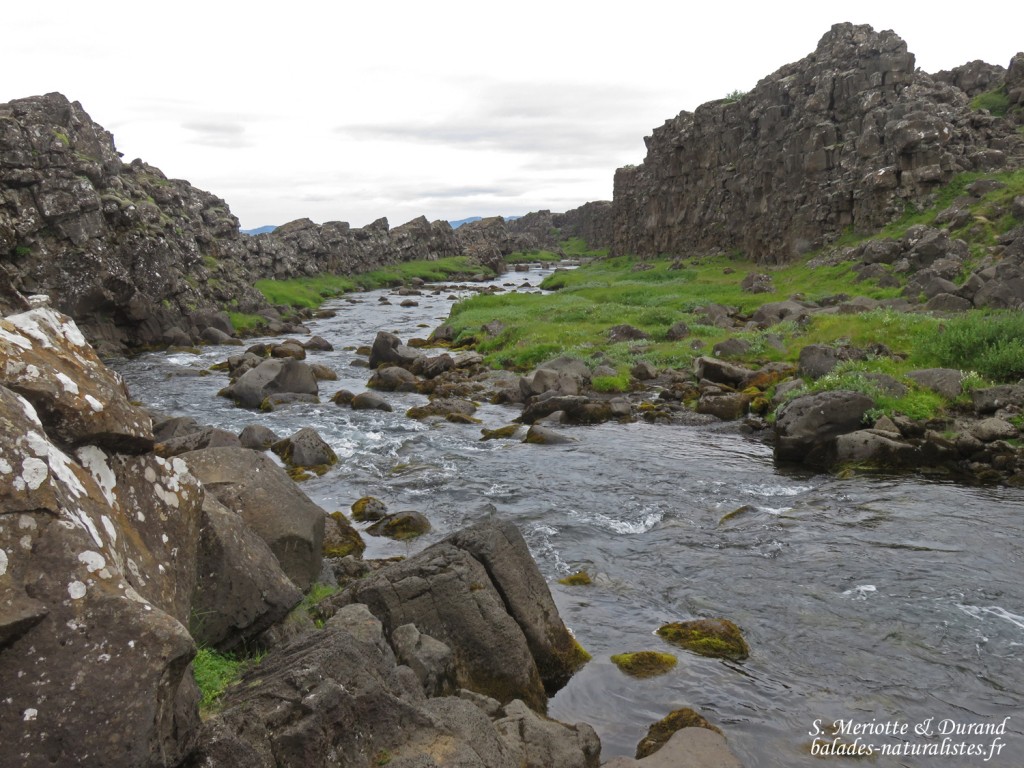 Cercle d'or : Pingvellir