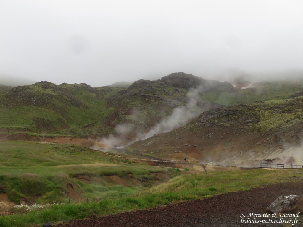 Cercle d'or : Pingvellir