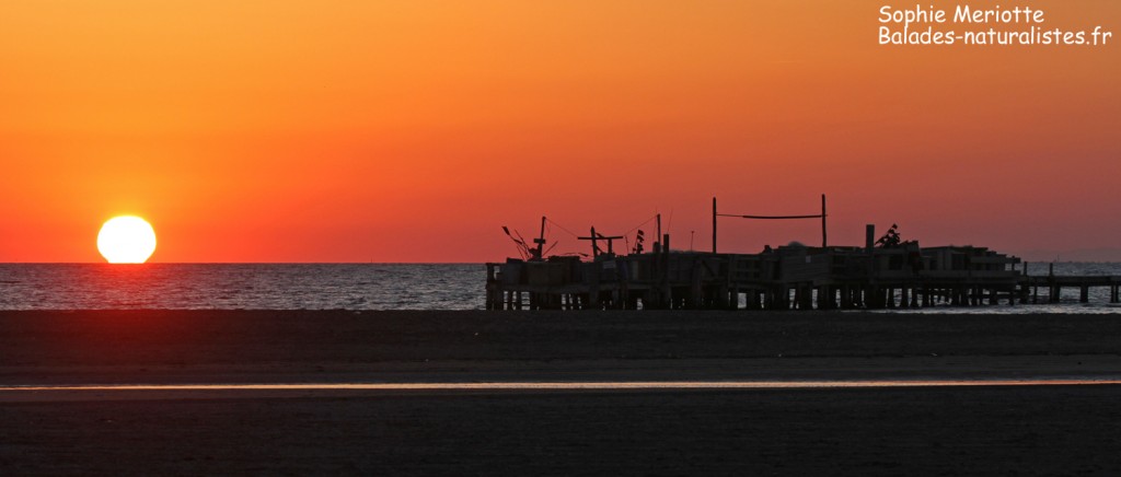 Plage de Beauduc