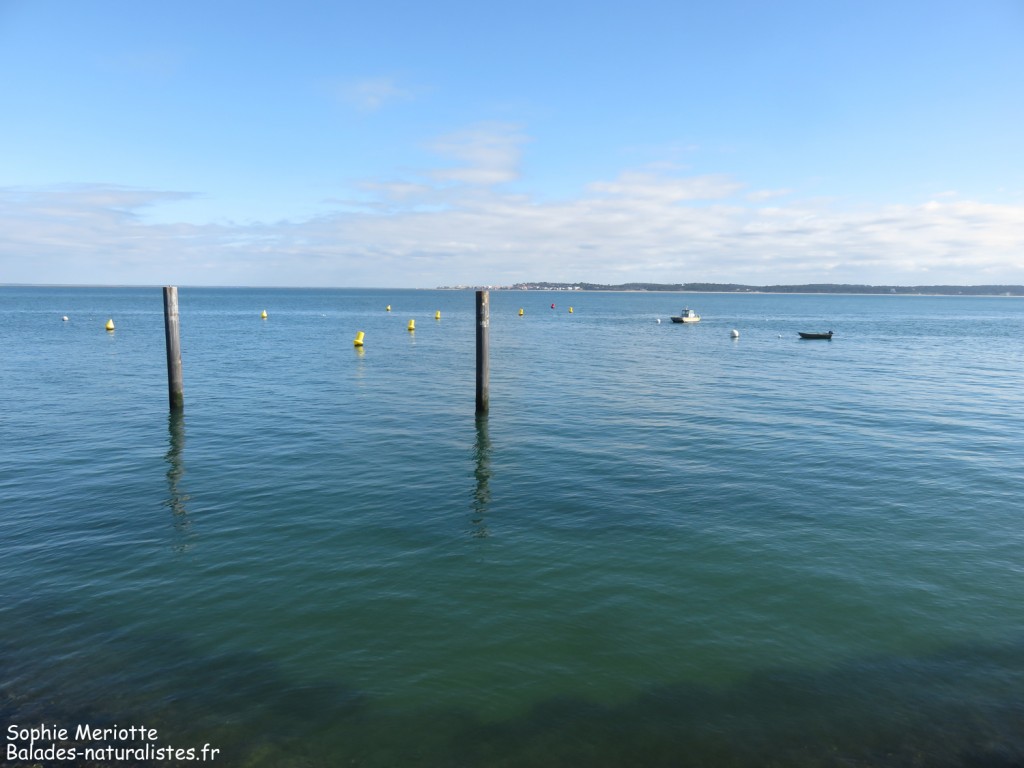 Chenal de Piquey, Bassin d'Arcachon