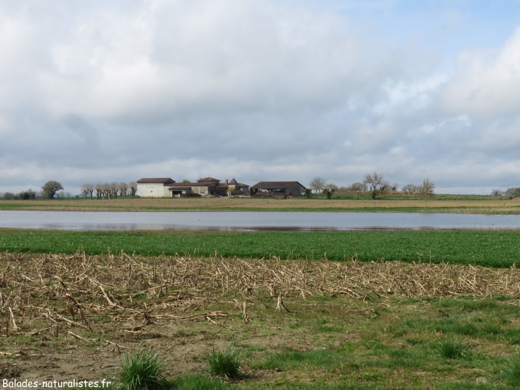 La Dombes