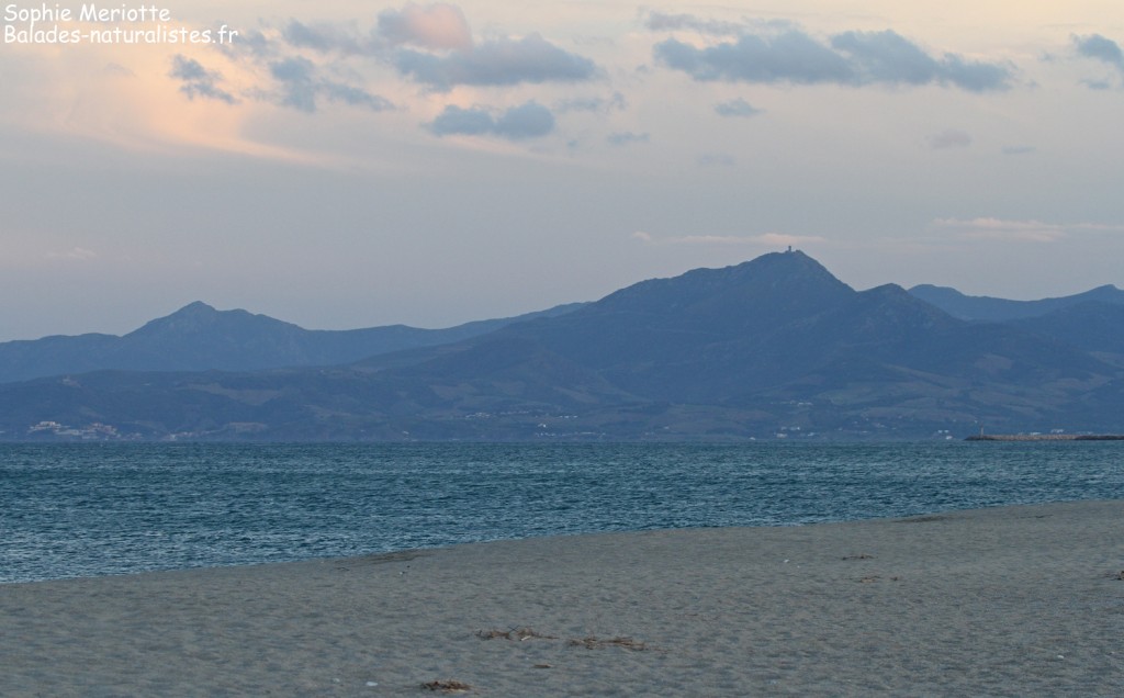 Plage de Canet-en-Roussillon en fin de journée
