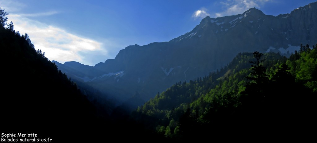 Vallon de La Jarjatte