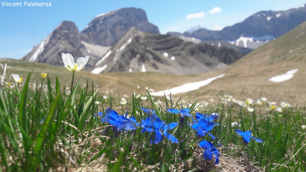 Col du Charnier