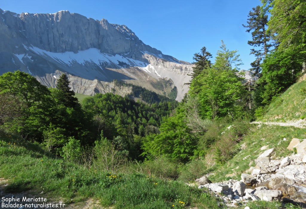 Sentier pour le Lac de Lauzon