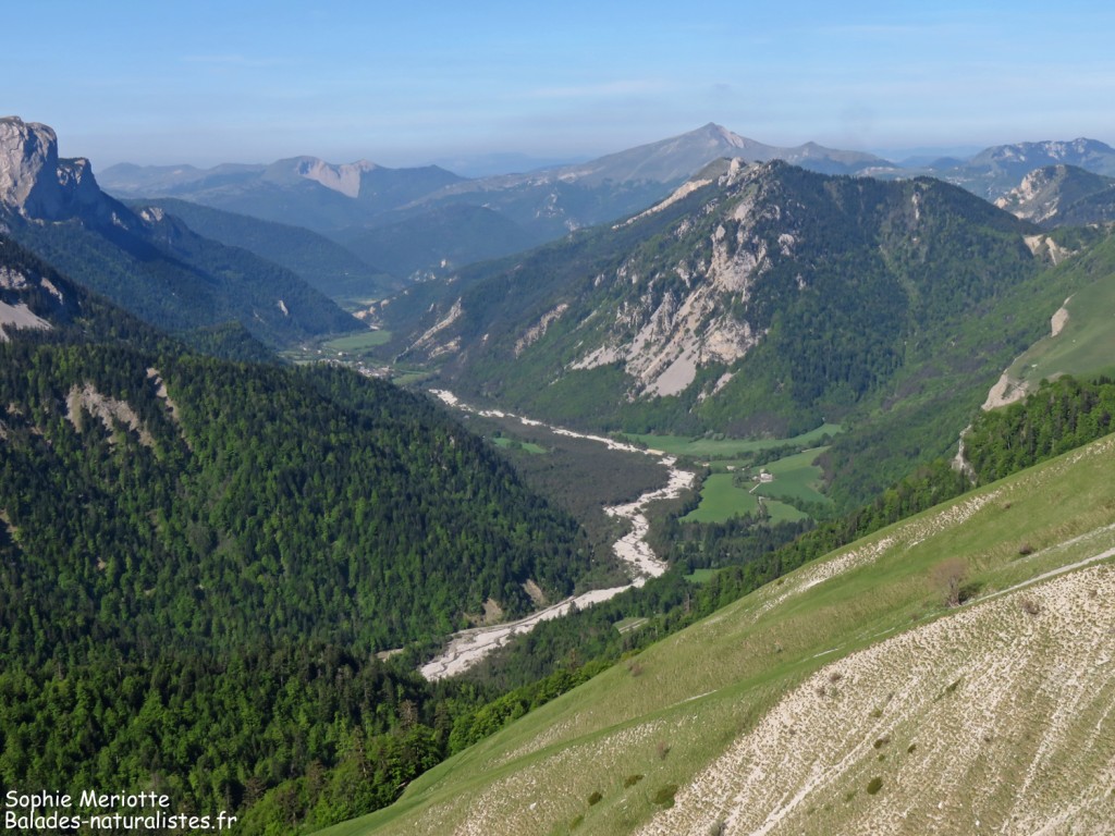 Vue sur le Buëch en montant au lac de Lauzon