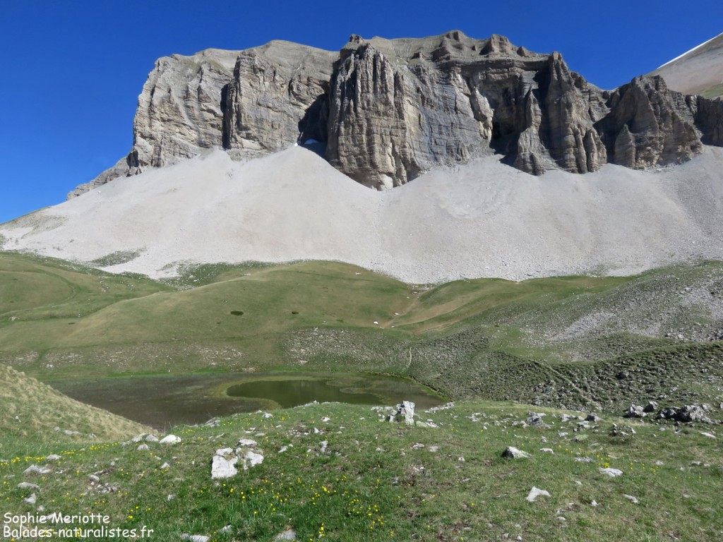 Le Lac de Lauzon