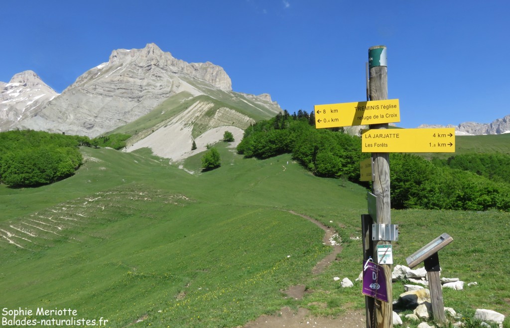 Col de la Croix