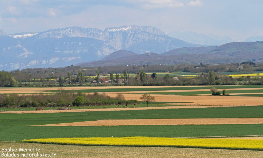 Plaine de Bièvre Plaine de Bièvre