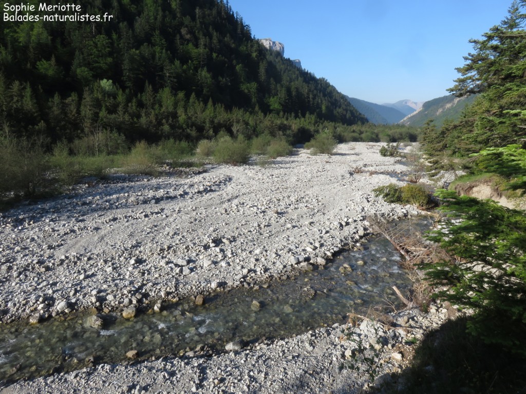 Le Buëch, Vallon de La Jarjatte
