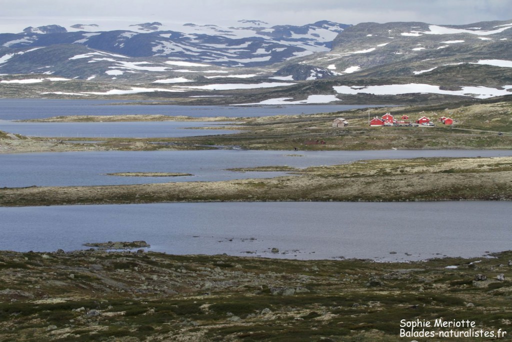 Parc national de l'Hardangervidda