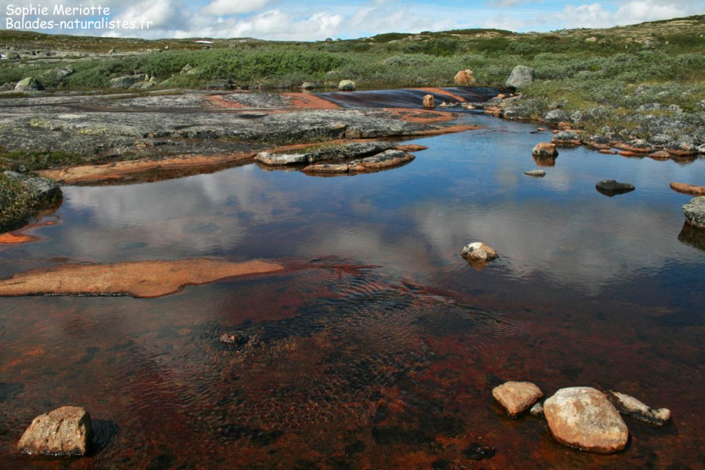 Parc national de l'Hardangervidda